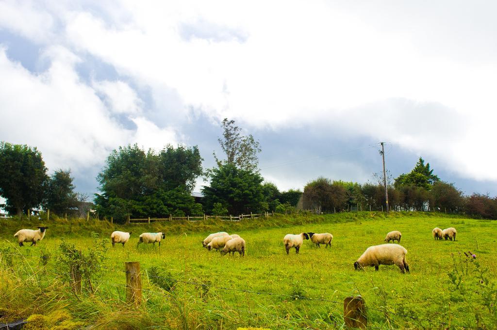 Seisnaun B&B Sligo Buitenkant foto
