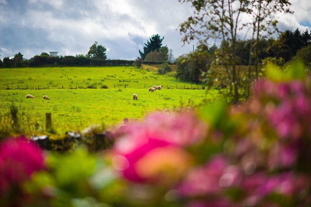 Seisnaun B&B Sligo Buitenkant foto
